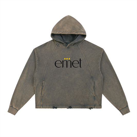 EMET Vintage Washed Frayed-Hem Hoodie